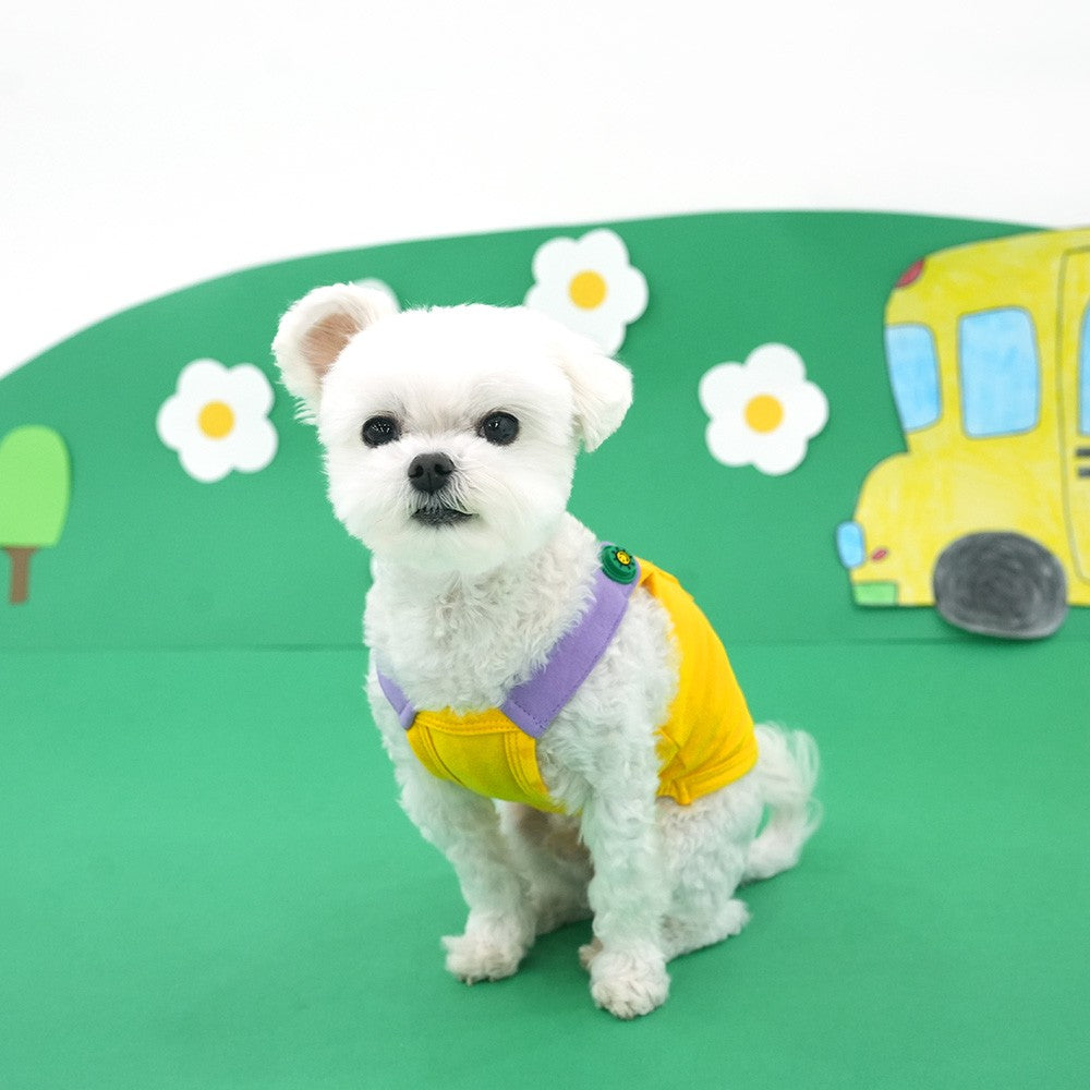 Parisdog Korea CoCo & Shasha Colorful Singlet for Pets