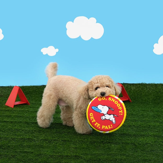 Peanuts Korea Soft Frisbee for Dogs