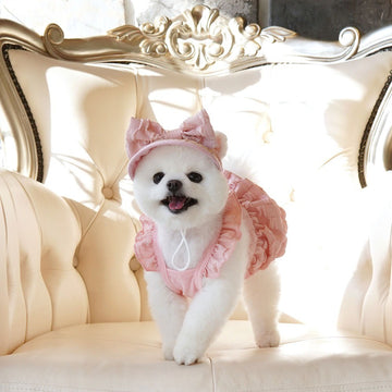 ParisDog Korea Popcorn Dress with Hat for Pets