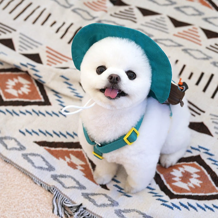 Peanuts Korea Adventure 2-way Backpack Harness Set for Dogs