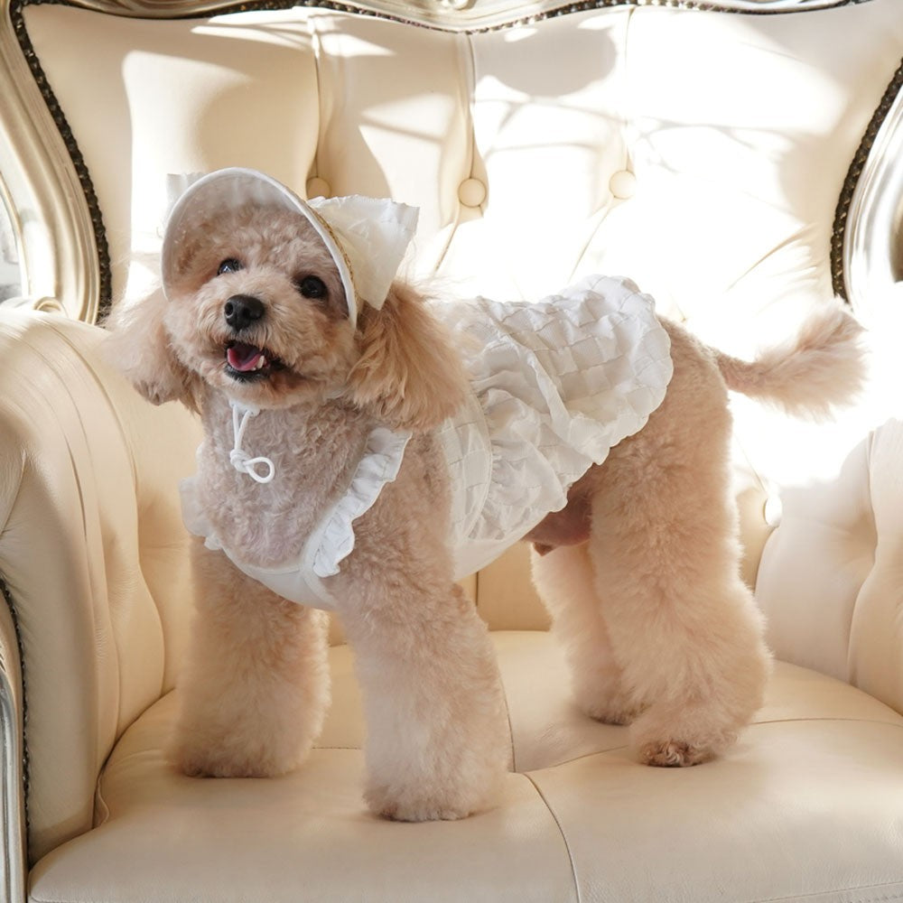 ParisDog Korea Popcorn Dress with Hat for Pets