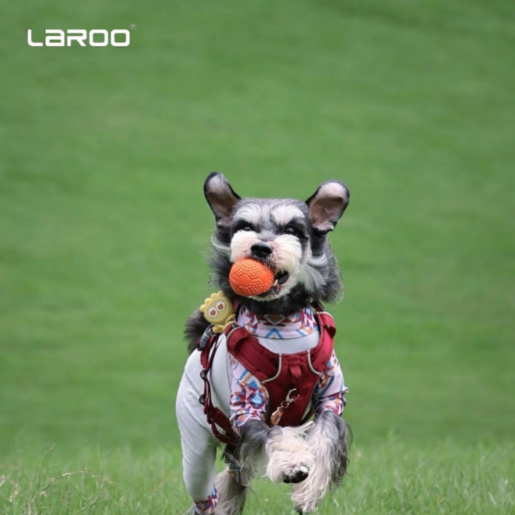 LaRoo Squeaky Chew Toy for Dogs