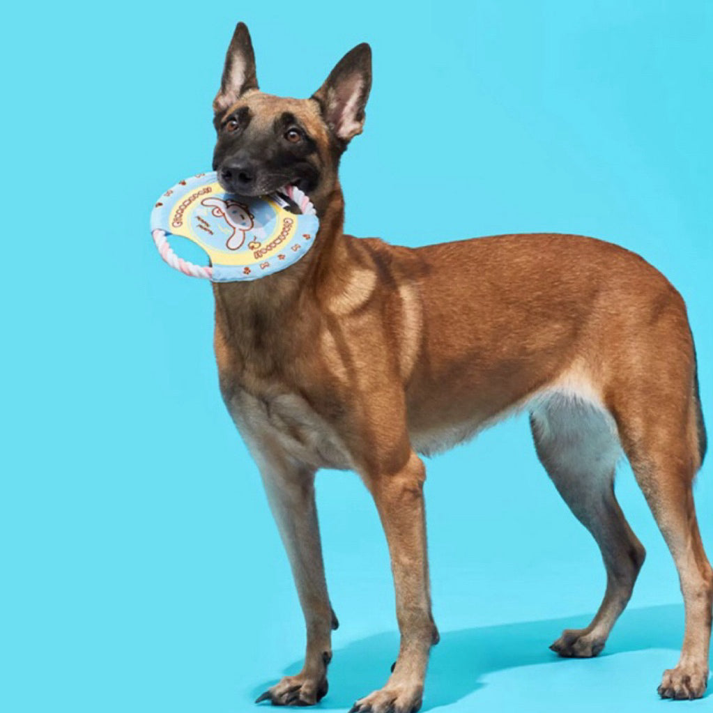 Sanrio Pet Frisbee Toy