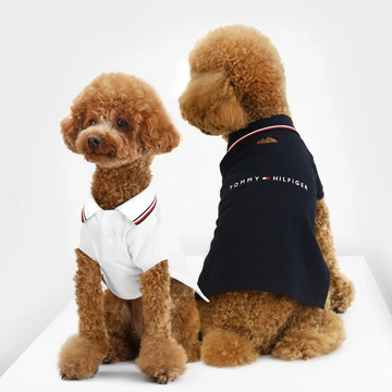 Tommy Hilfiger Heritage Polo